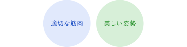 適切な筋肉、美しい姿勢